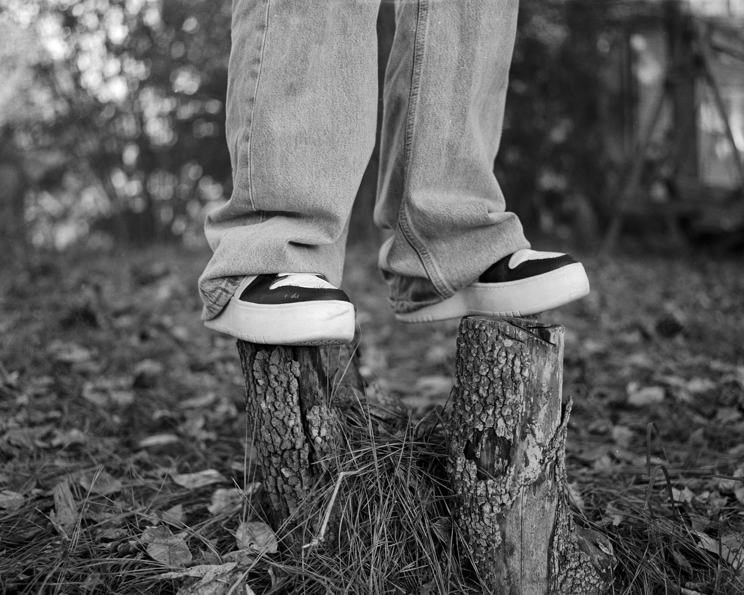 stumps.jpg