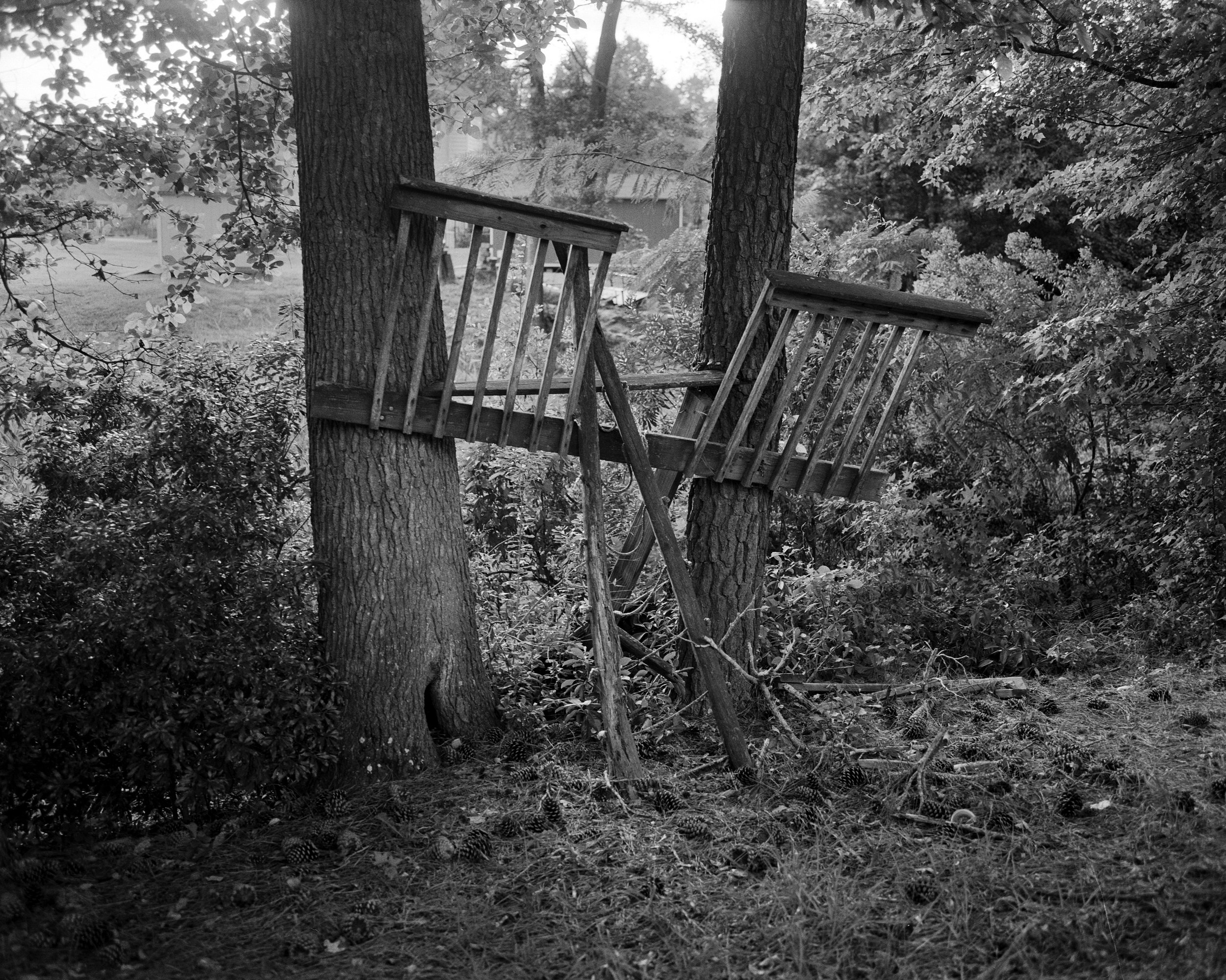 treehouse.jpg