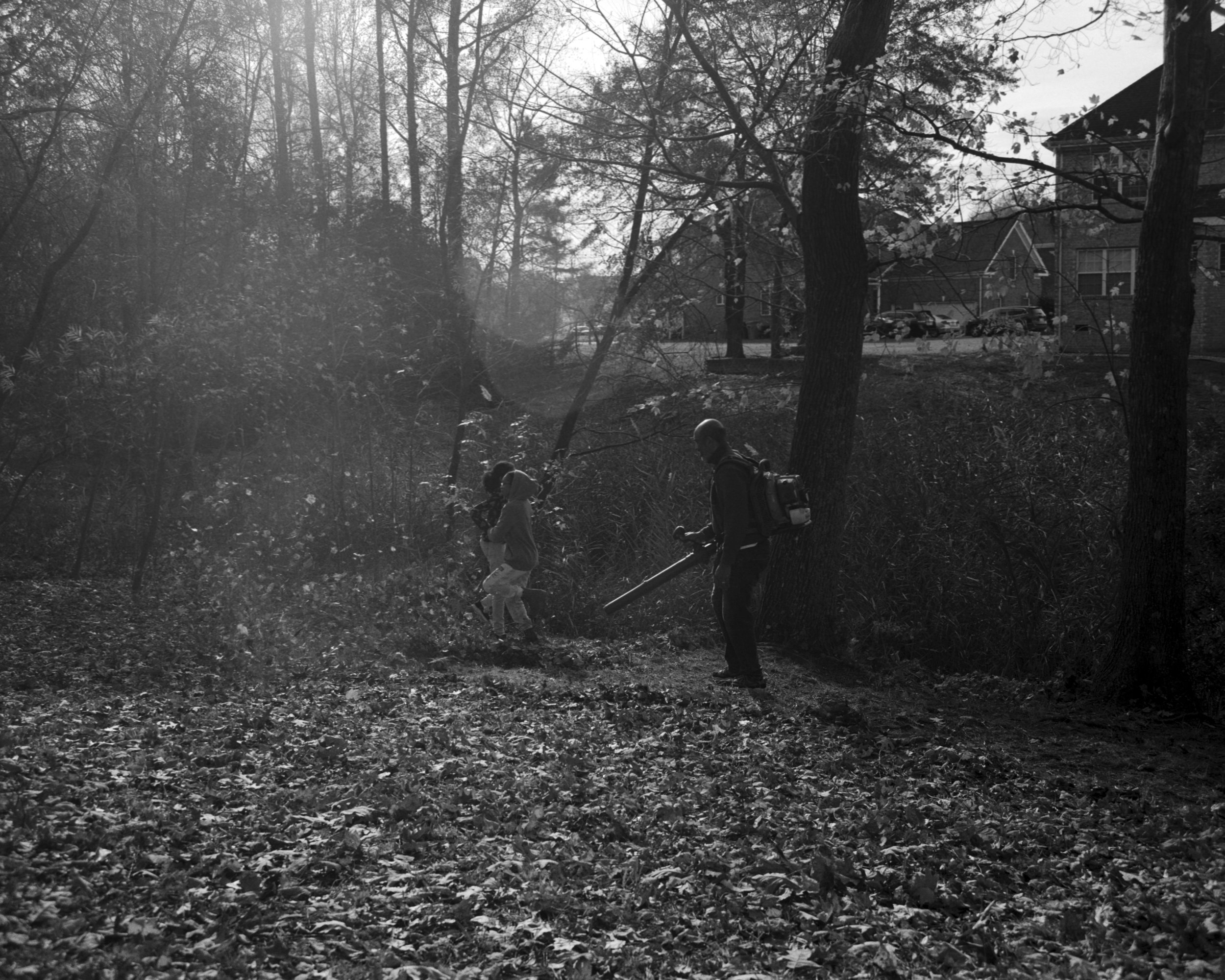leaf blower.jpg