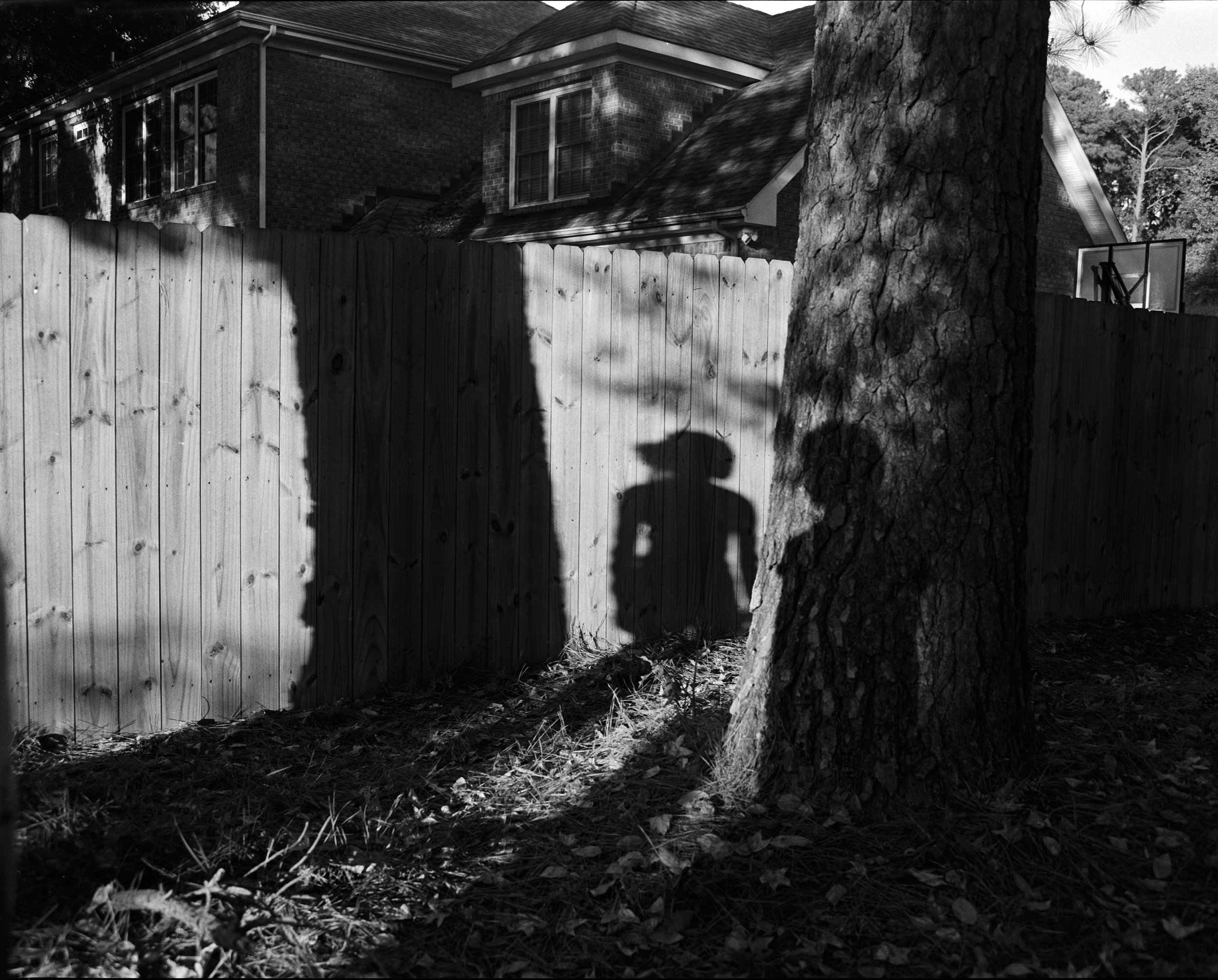 shadows.jpg