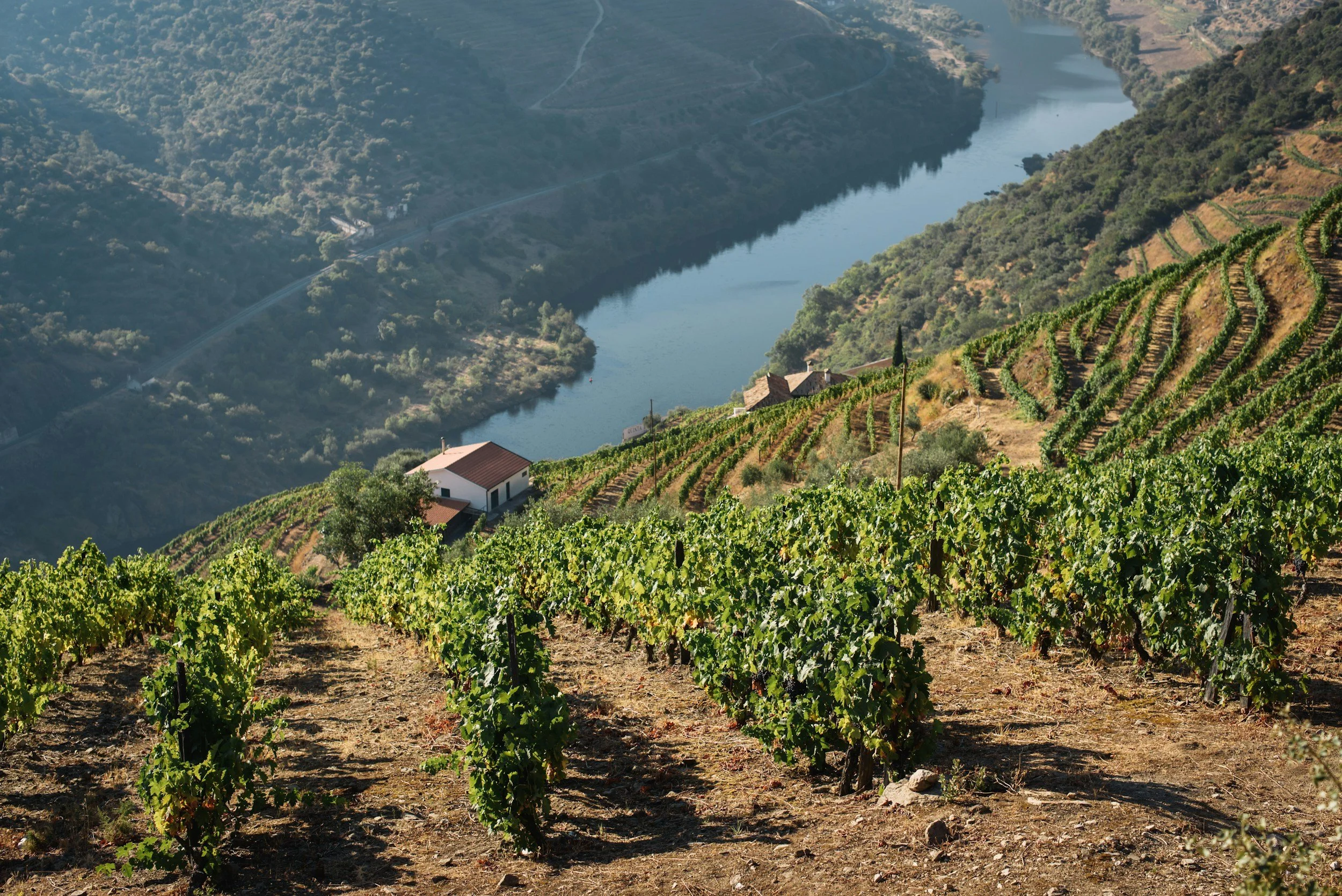 Douro Valley: A Private Travel Guide