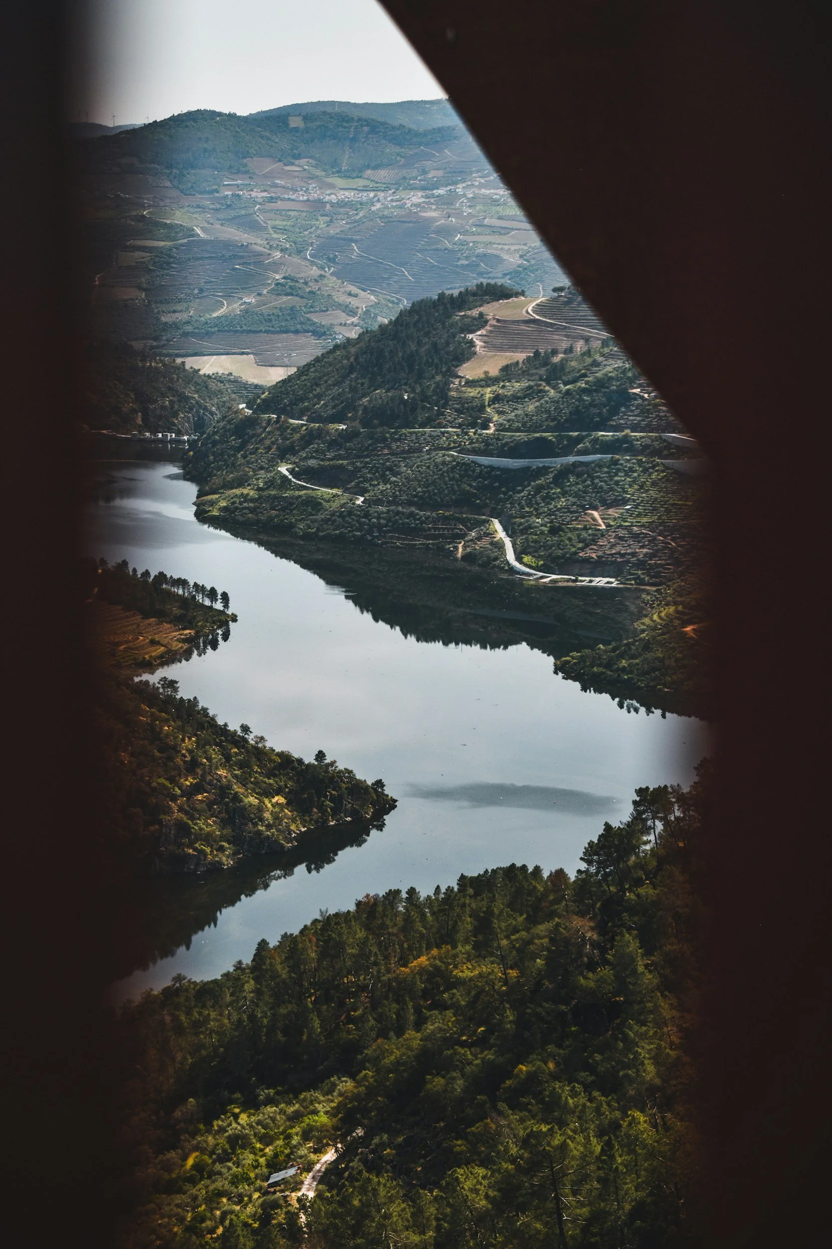 douro portugal wine region