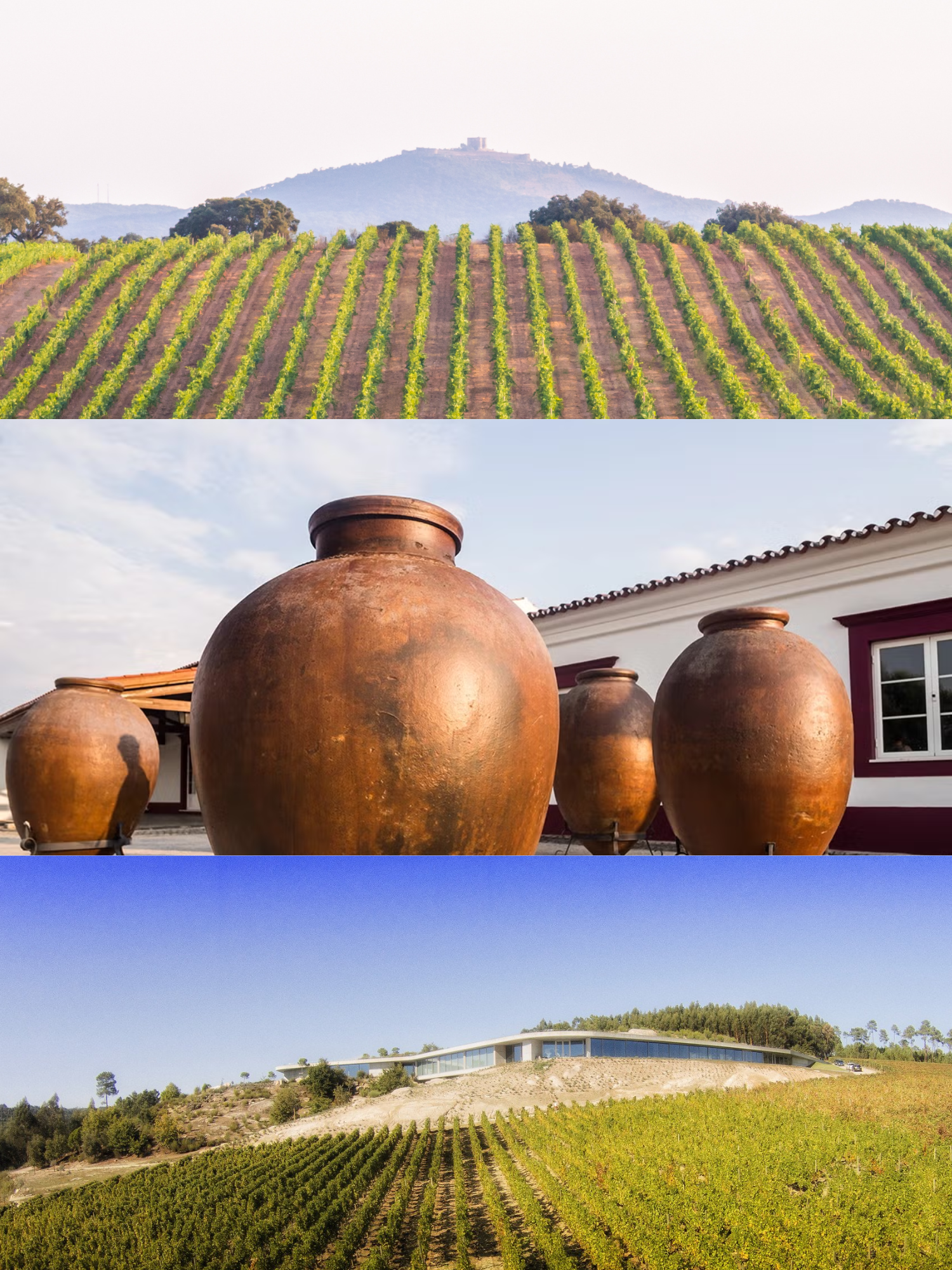 proposal wine itinerary