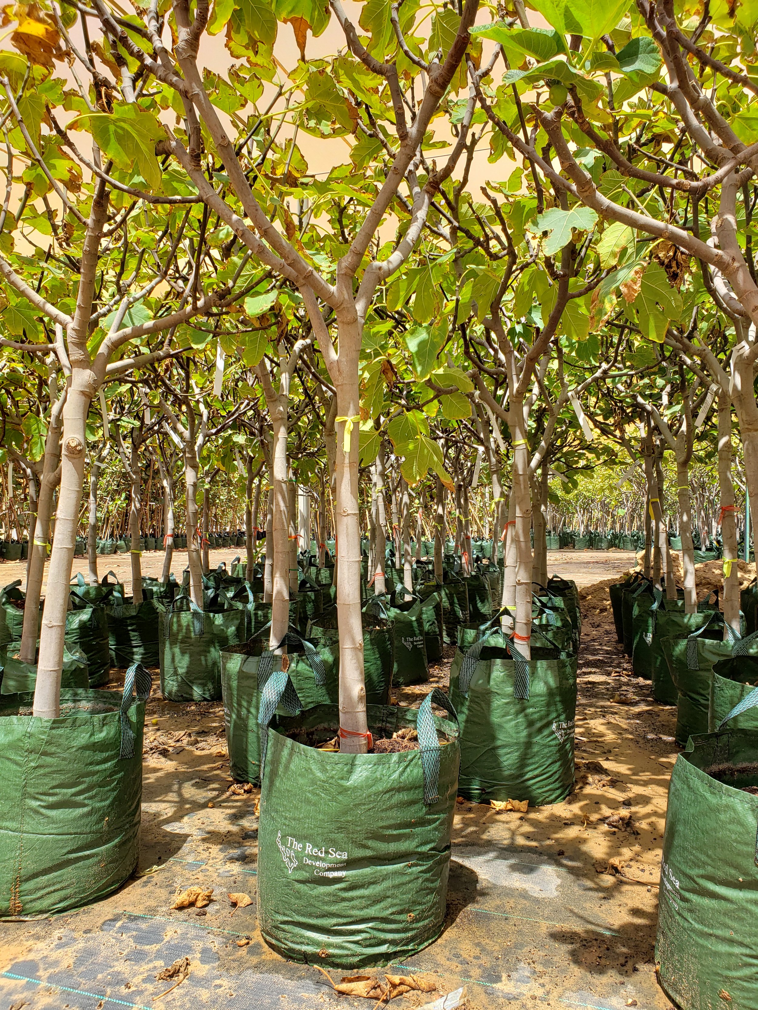 Why Clarity Will Define the Next Decade of Travel