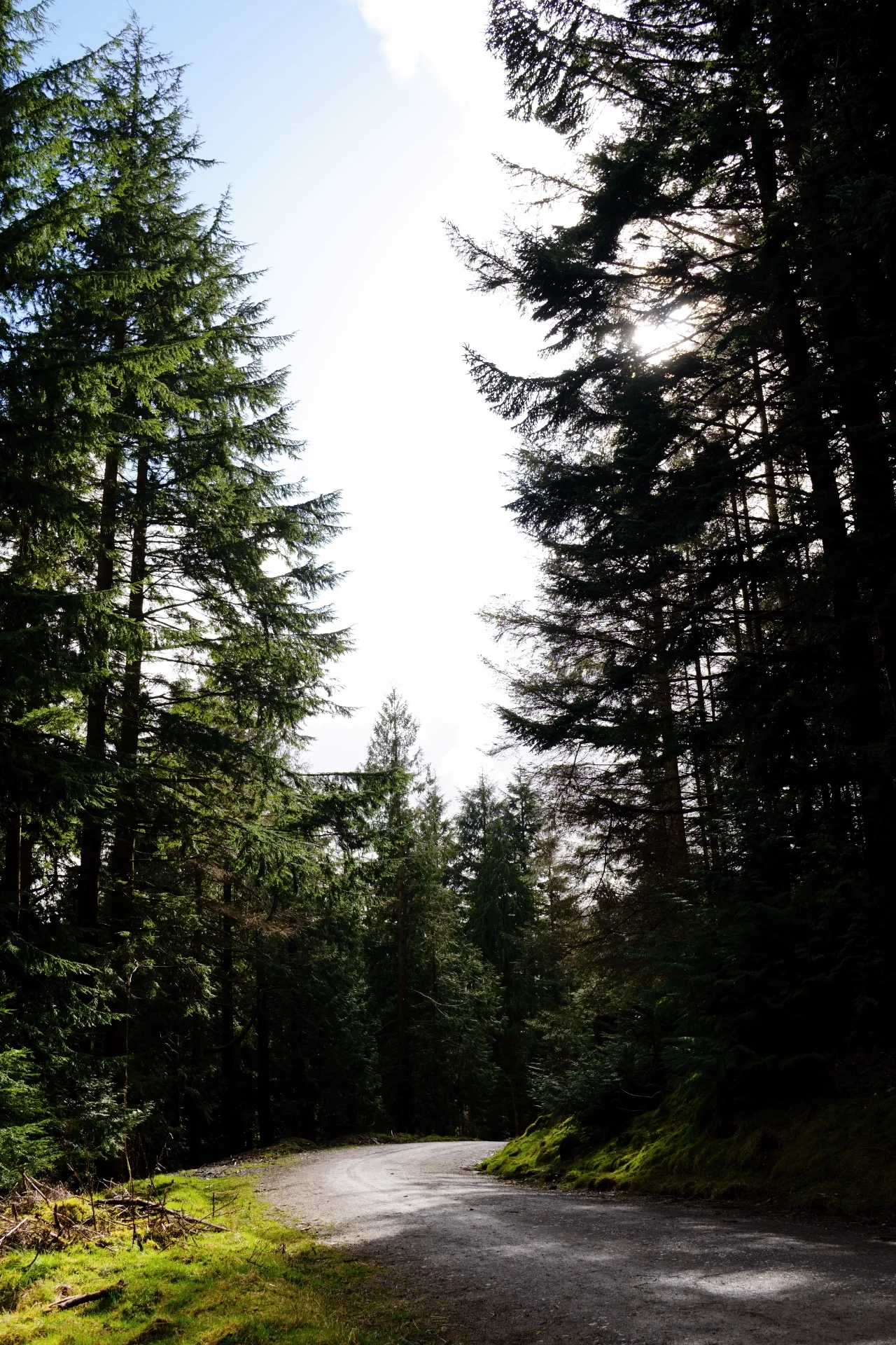 DSC02196.webp
