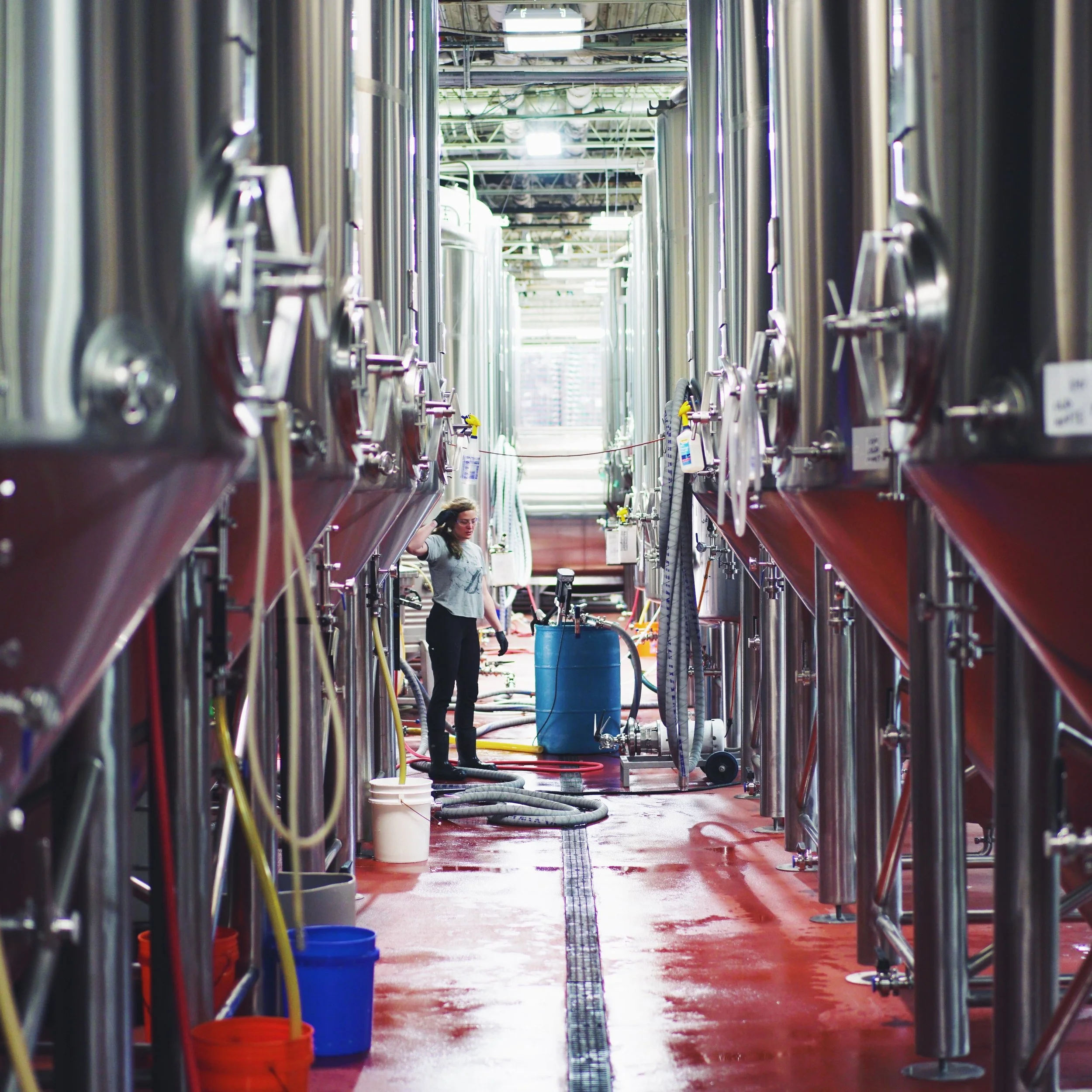 CellarLIfe_Kristen copy.JPG