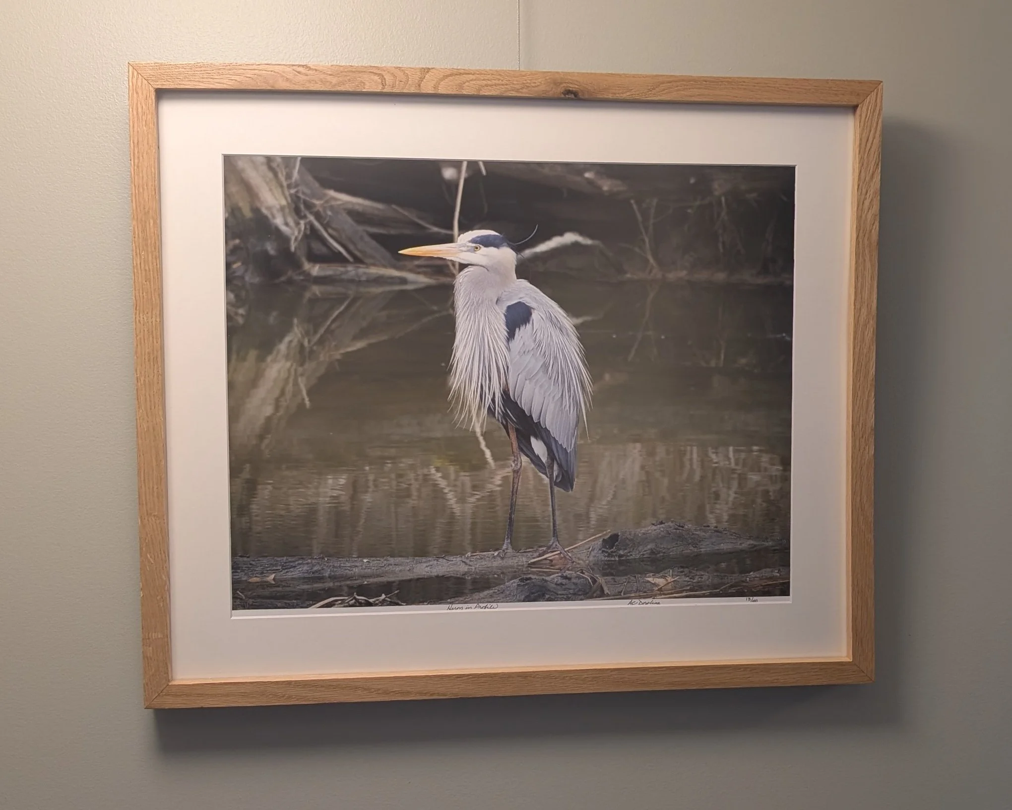 heron-in-profile-framed.jpg