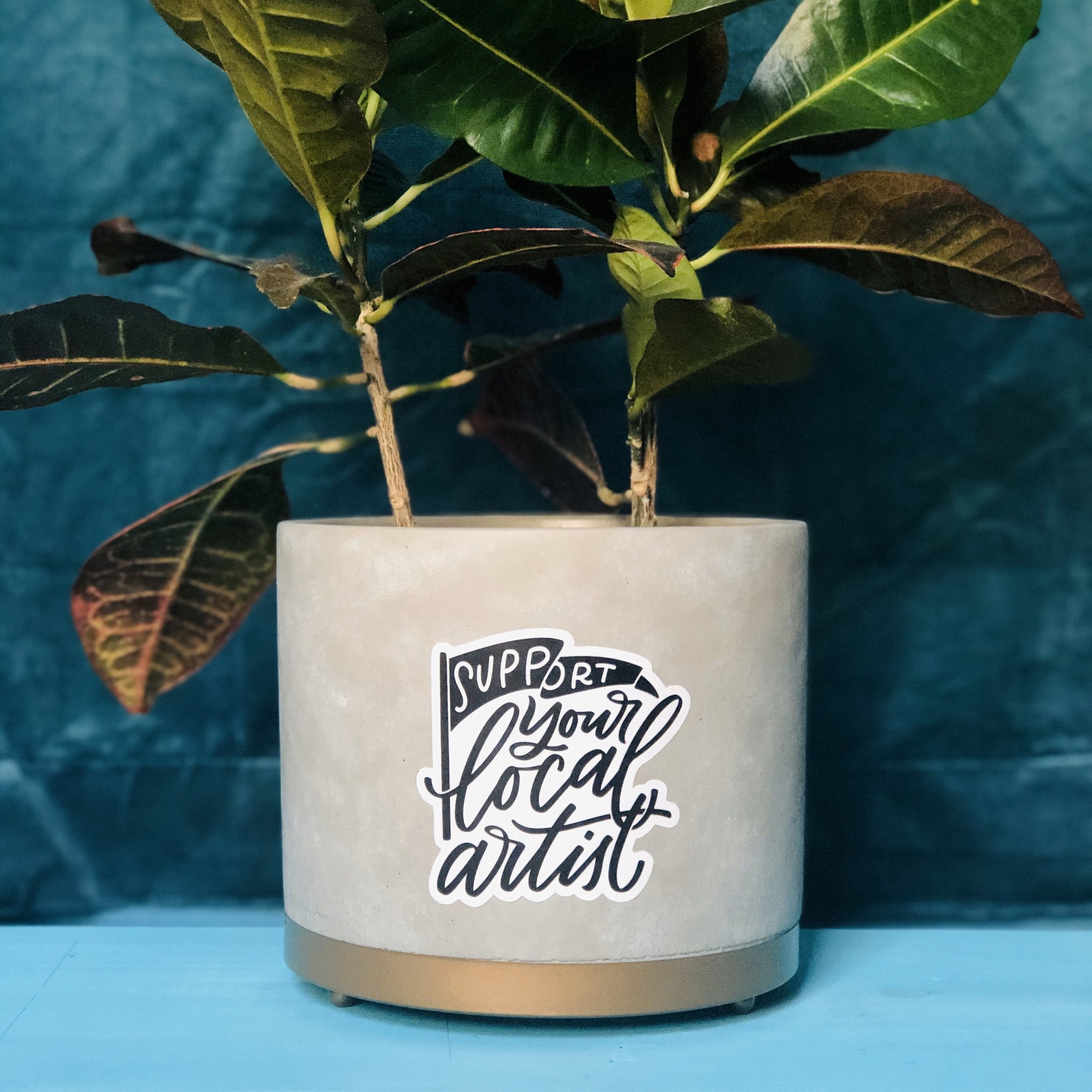 https://i.etsystatic.com/13827308/r/il/0e8463/2149845089/il_fullxfull.2149845089_h7oz.jpg