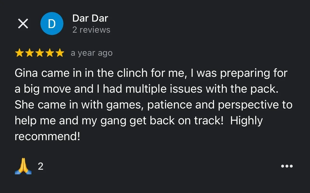 Screenshot of a five-star review for a dog training service, praising trainer Gina for her patience, games, and perspective.