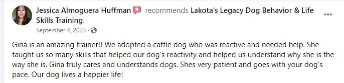 Facebook post recommending Lakota's Legacy Dog Behavior & Life Skills Training, praising a rescue cattle dog named Gina for her calmness, patience, and helpfulness.