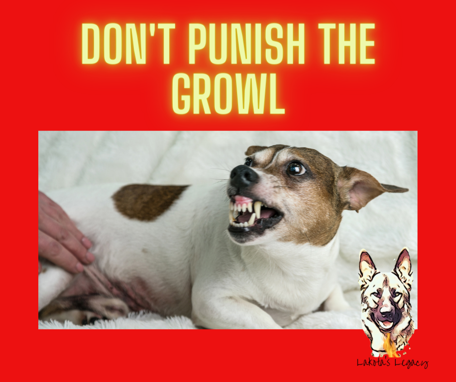 Why Labels are Not Helpful