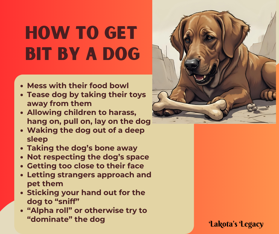 Normal Canine Behavior Communication