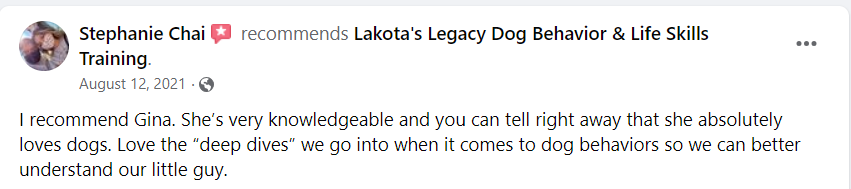 Review recommending Gina for her dog behavior training, praising her knowledge and love for dogs.