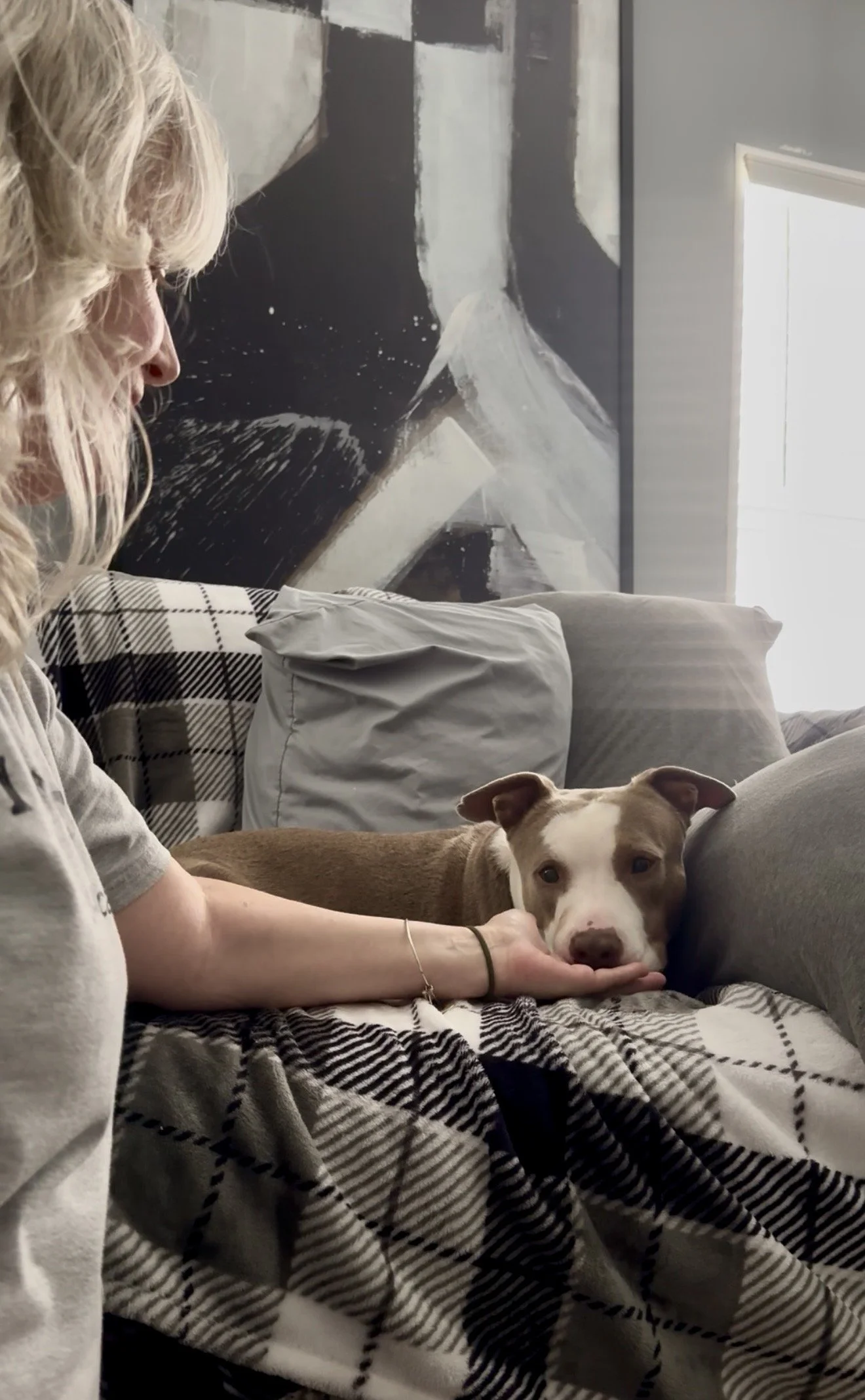 Fearful trauma behavior help for dogs Clarksville TN