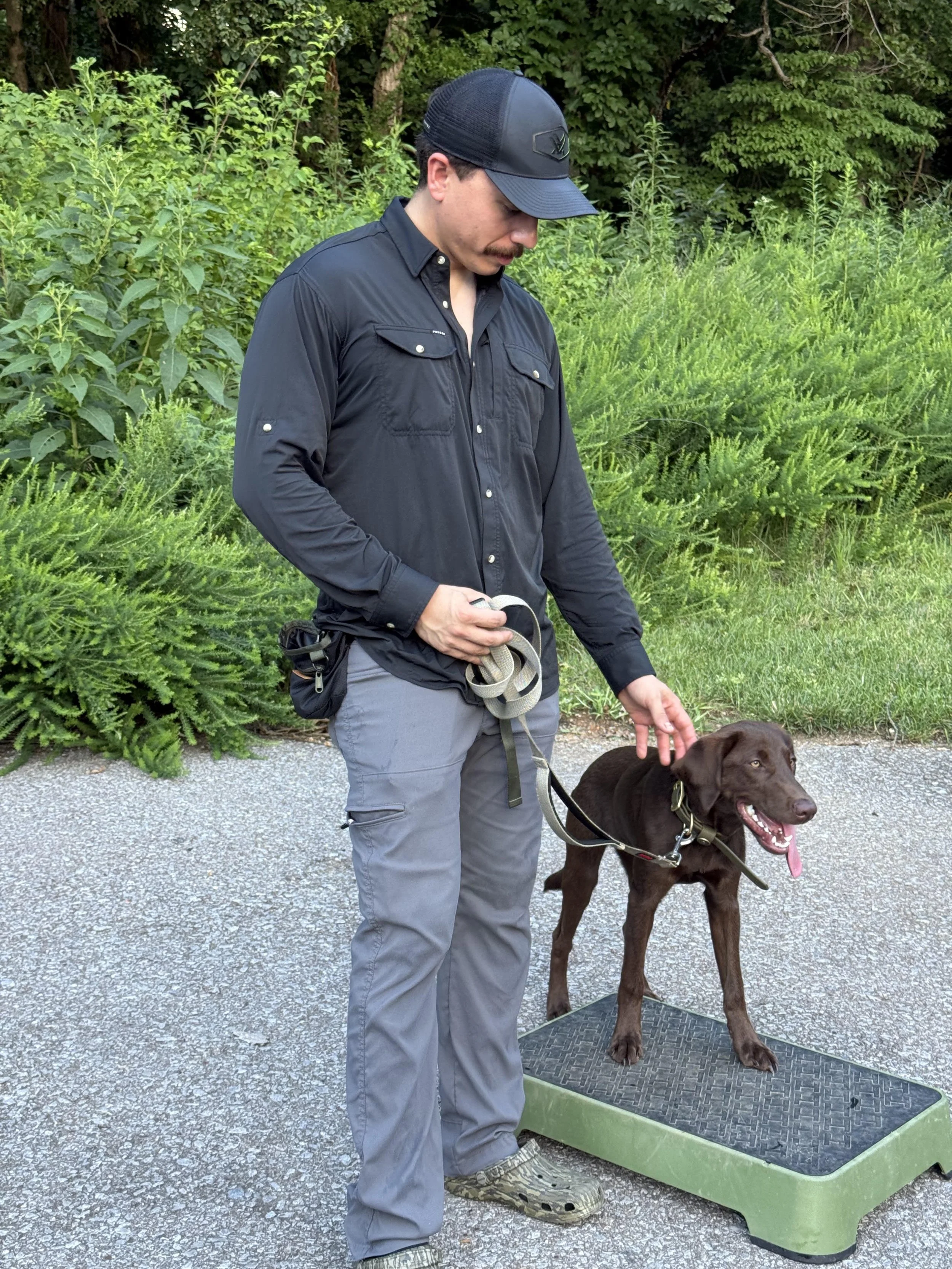 dog training clarksville tn lakotas legacy