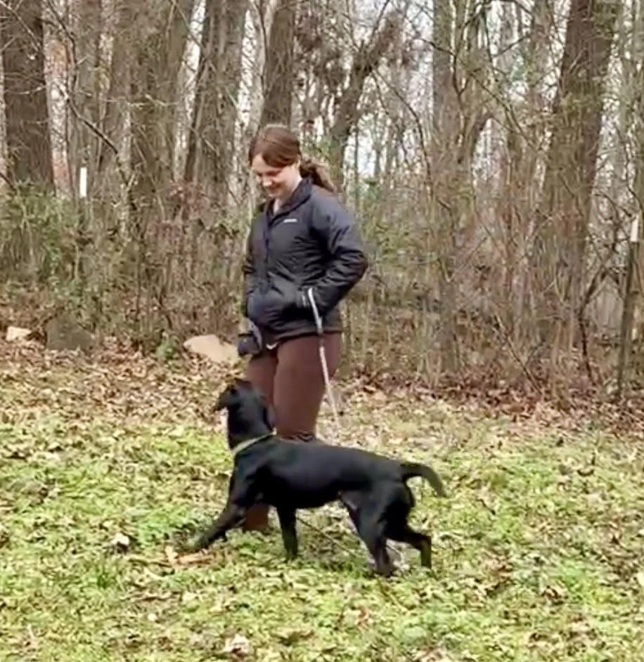woman walking outside with her young black lab by her side, outside on a fall day