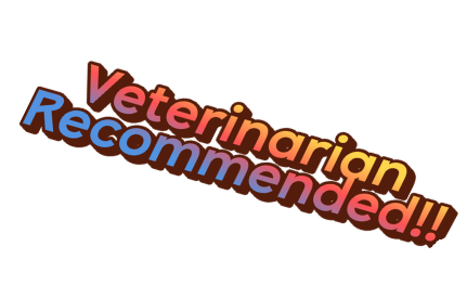 reactive dog receiving positive reinforcement training in Clarksville TN