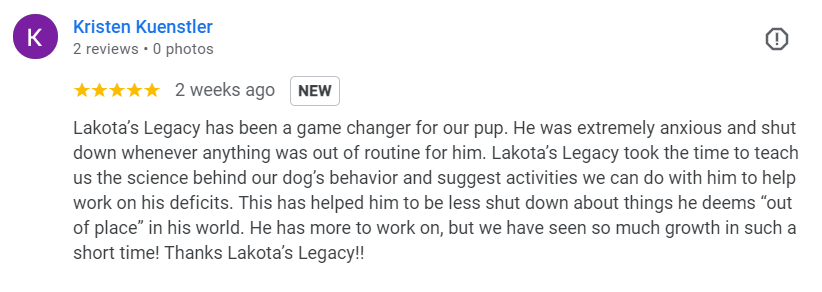Screenshot of a five-star review for Lakota's Legacy written by Kristen Kuenstler, praising the trainer for helping her dog address behavioral issues and showing growth.