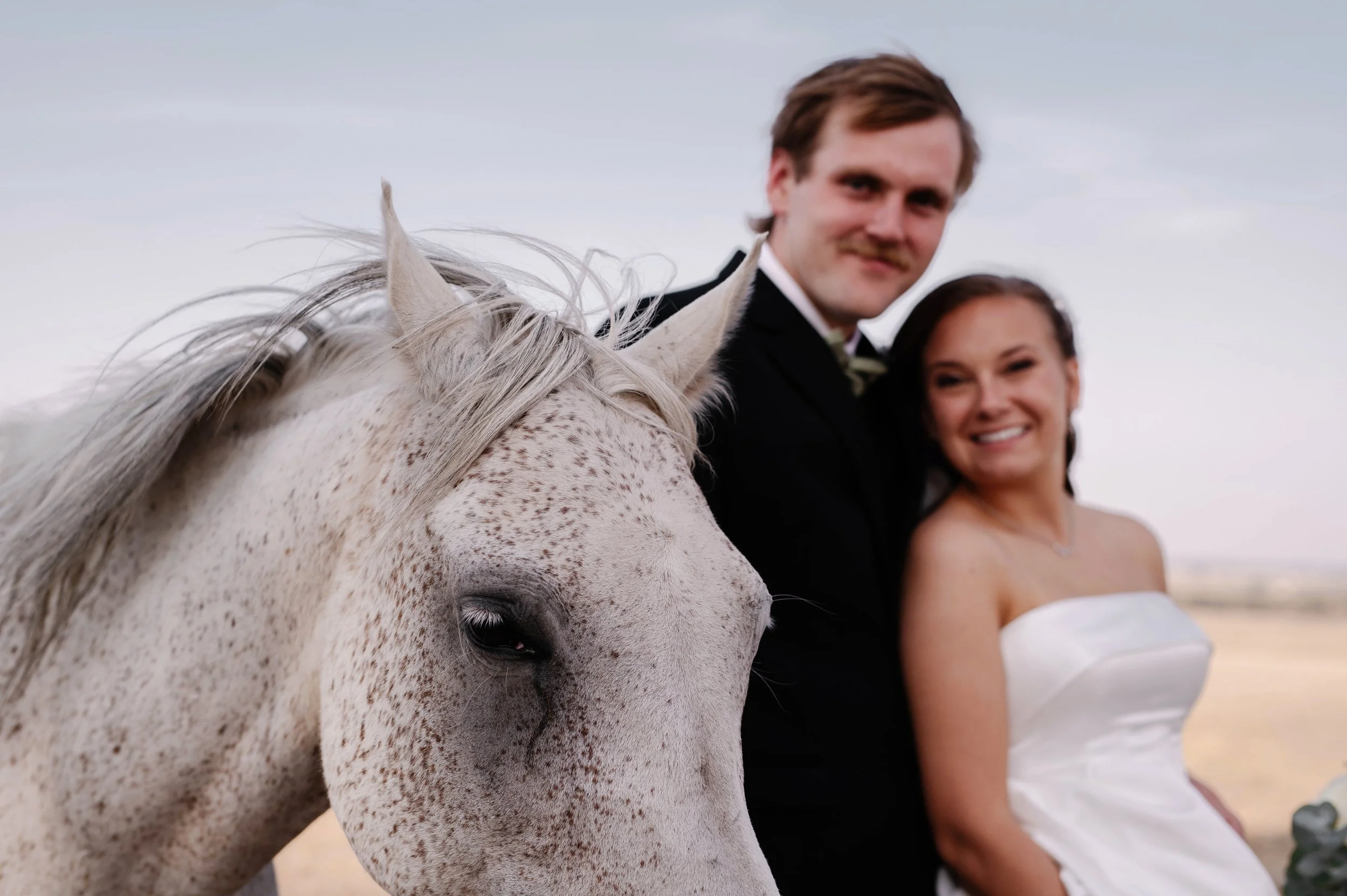 ballarat-bridal-photo-horse.jpg