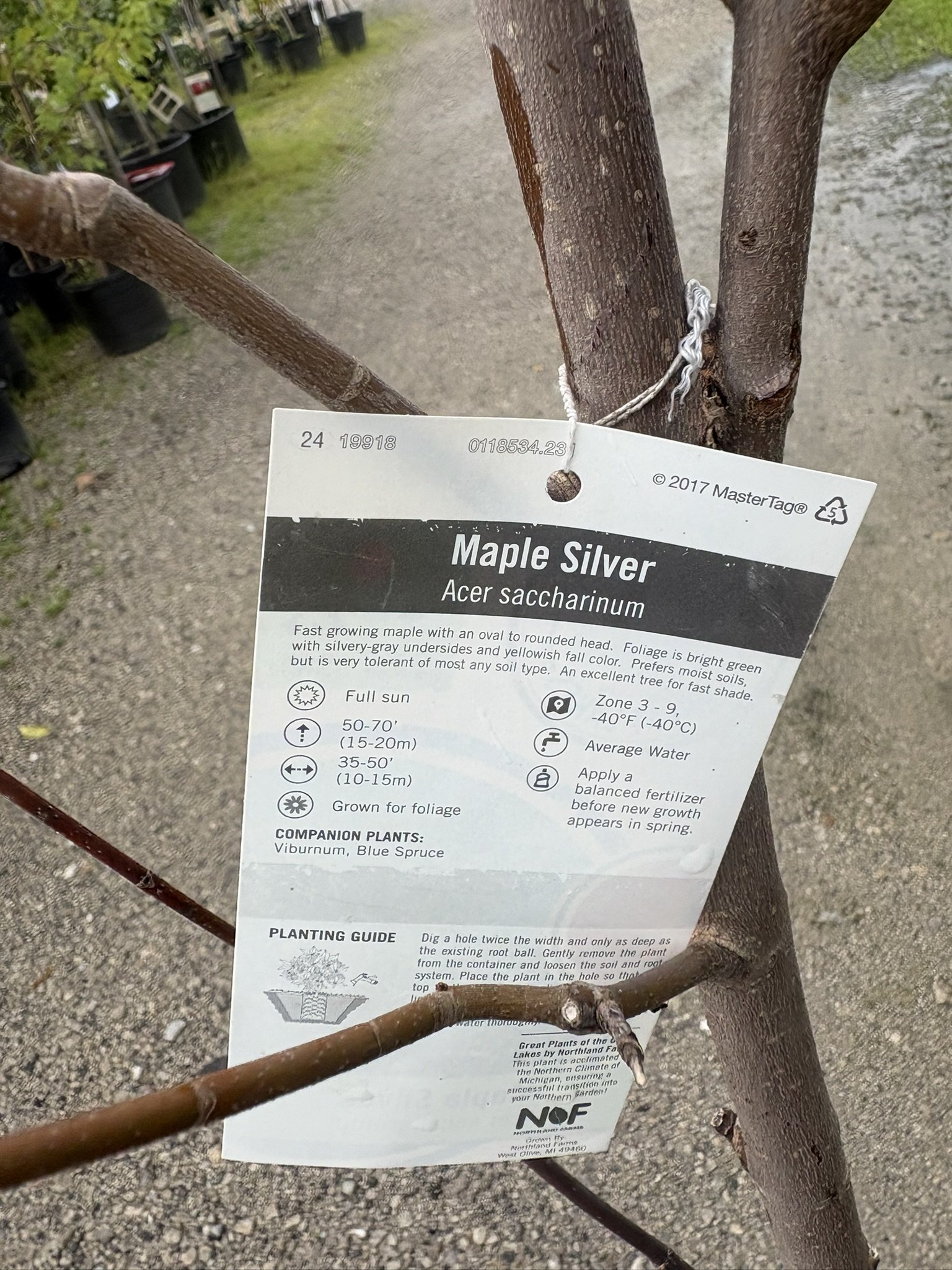 IMG_6708.JPEG