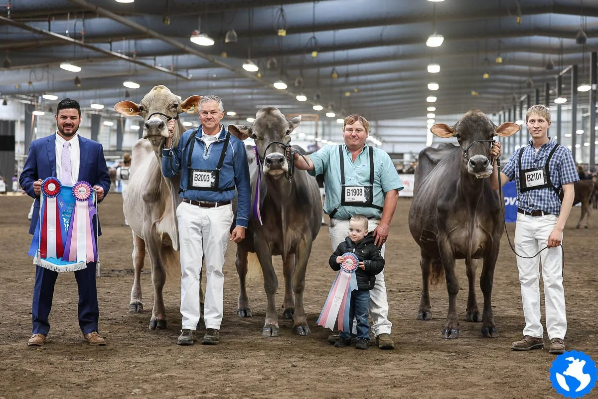 Midwest Spring Show WISCONSIN Brown Swiss Association Midwest Spring Show WISCONSIN Brown Swiss Association