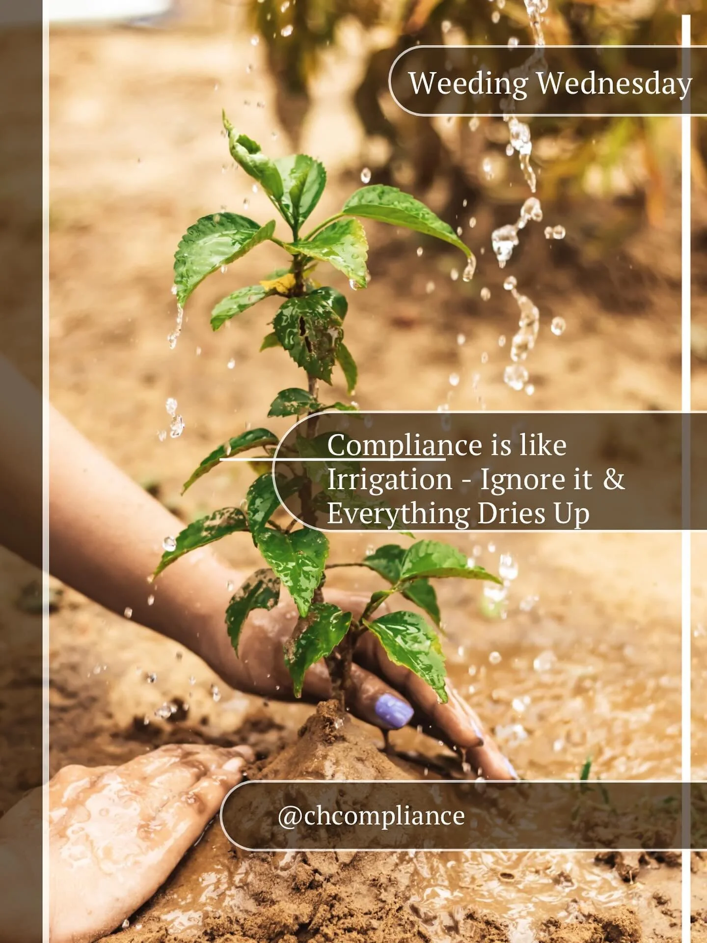 Plants 🌱 need H2O
Your Business needs Compliance 📋
Skip irrigation &amp; your Garden dies.
Skip Compliance &amp; so does your license.
Let&rsquo;s keep the flow going 

👉 DM me 
Let me help you do what lights you up in your Biz- 
Cause we all know