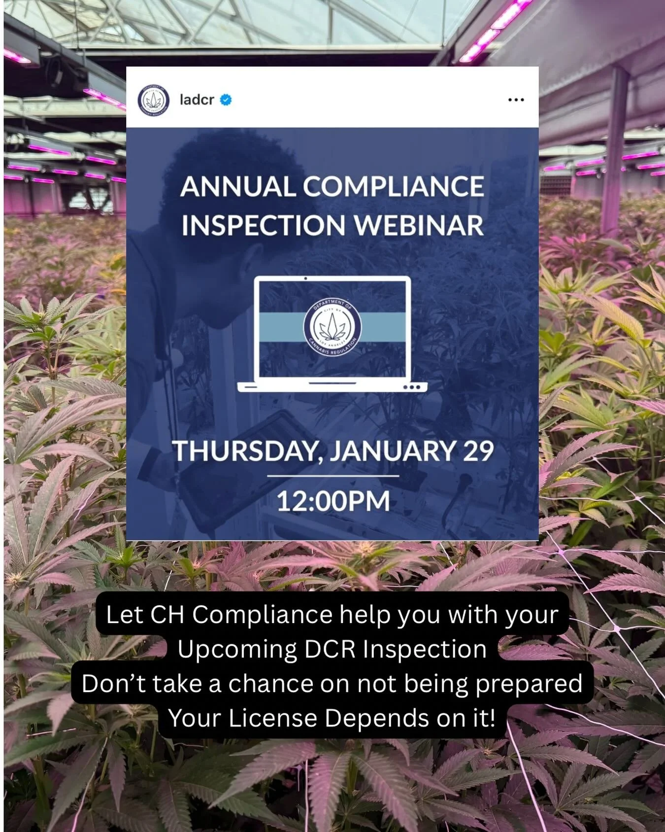 I&rsquo;m taking the hit for all those Operators out there who won&rsquo;t have to sit on this crazy train of a webinar that DCR is hosting.
And yes- you all owe me a shot, a glass of something, or a gummie- cause this is gonna be painful 🙃