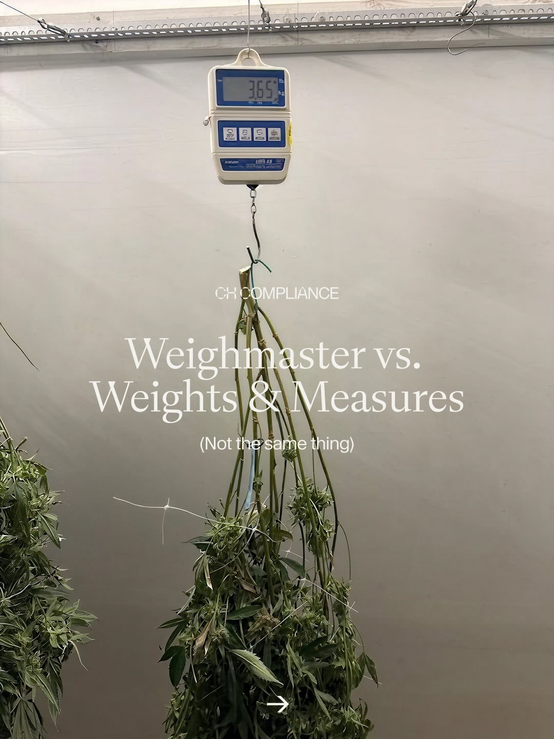Weighmaster vs Weights &amp; Measures&hellip;
Is there a difference?
A weighmaster is responsible for documenting &amp; certifying the weight of cannabis during distribution. 
This is part of your chain of custody - making sure your product is accoun