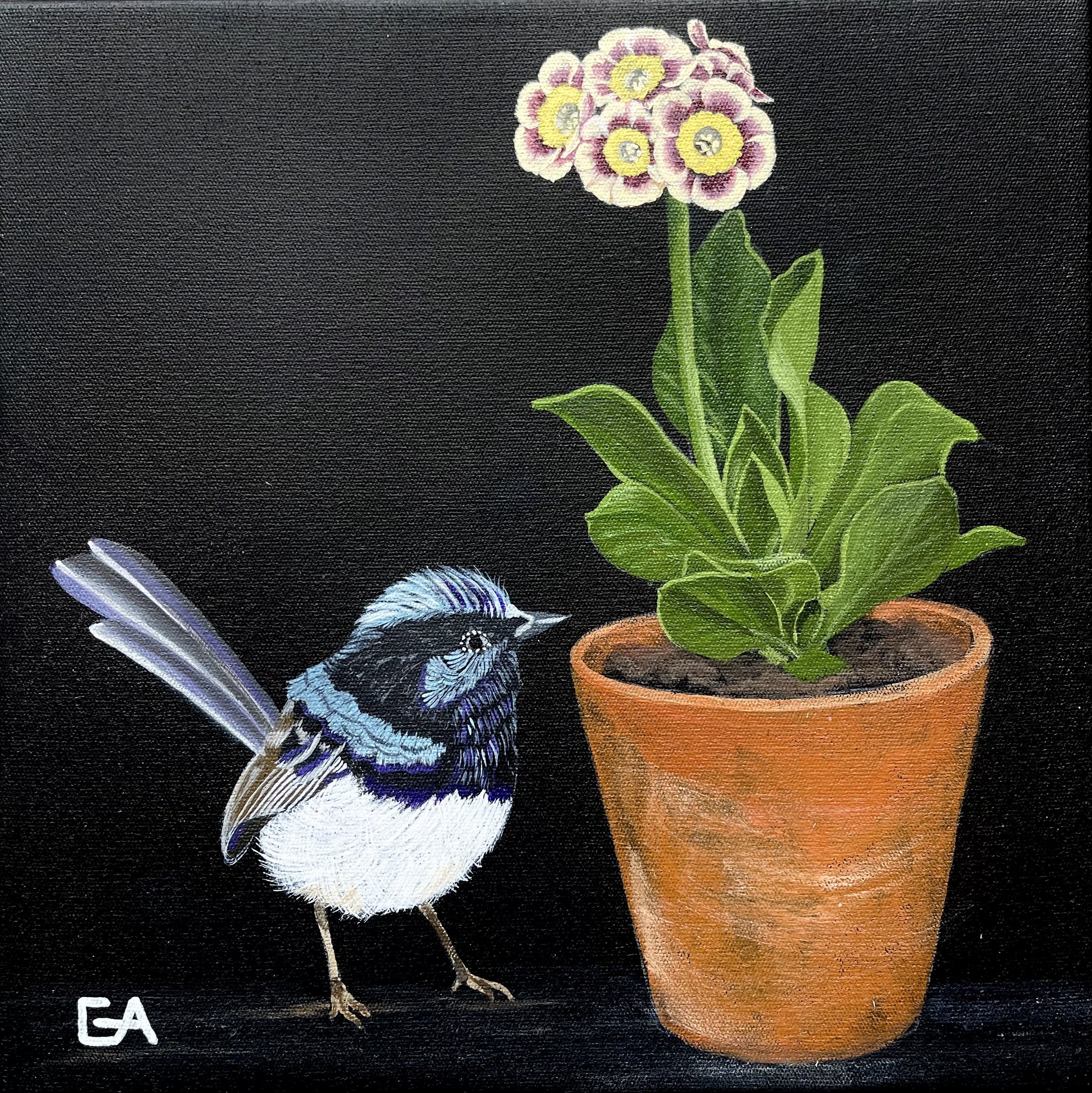 gina-andree-art-Auricula-and-wren-1.jpeg