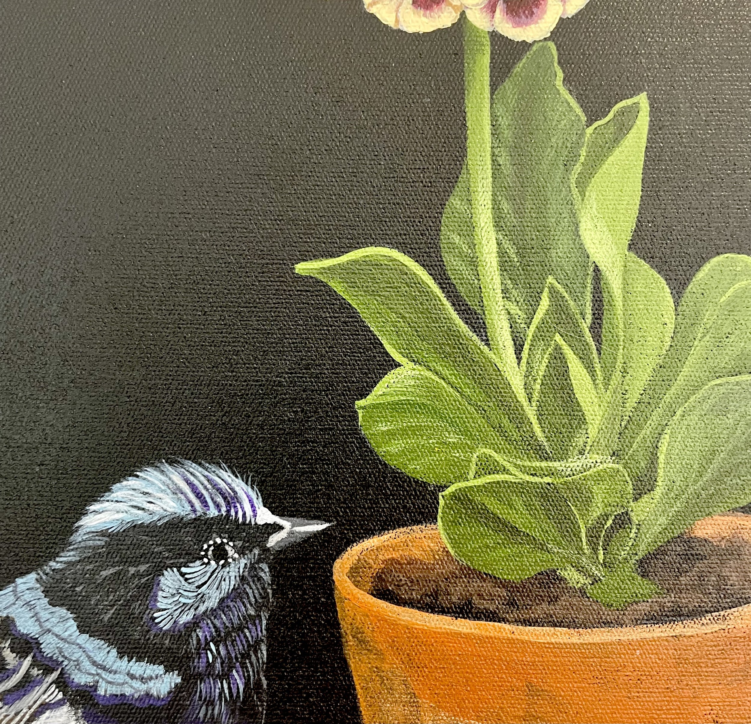 gina-andree-art-Auricula-and-wren-5.jpeg
