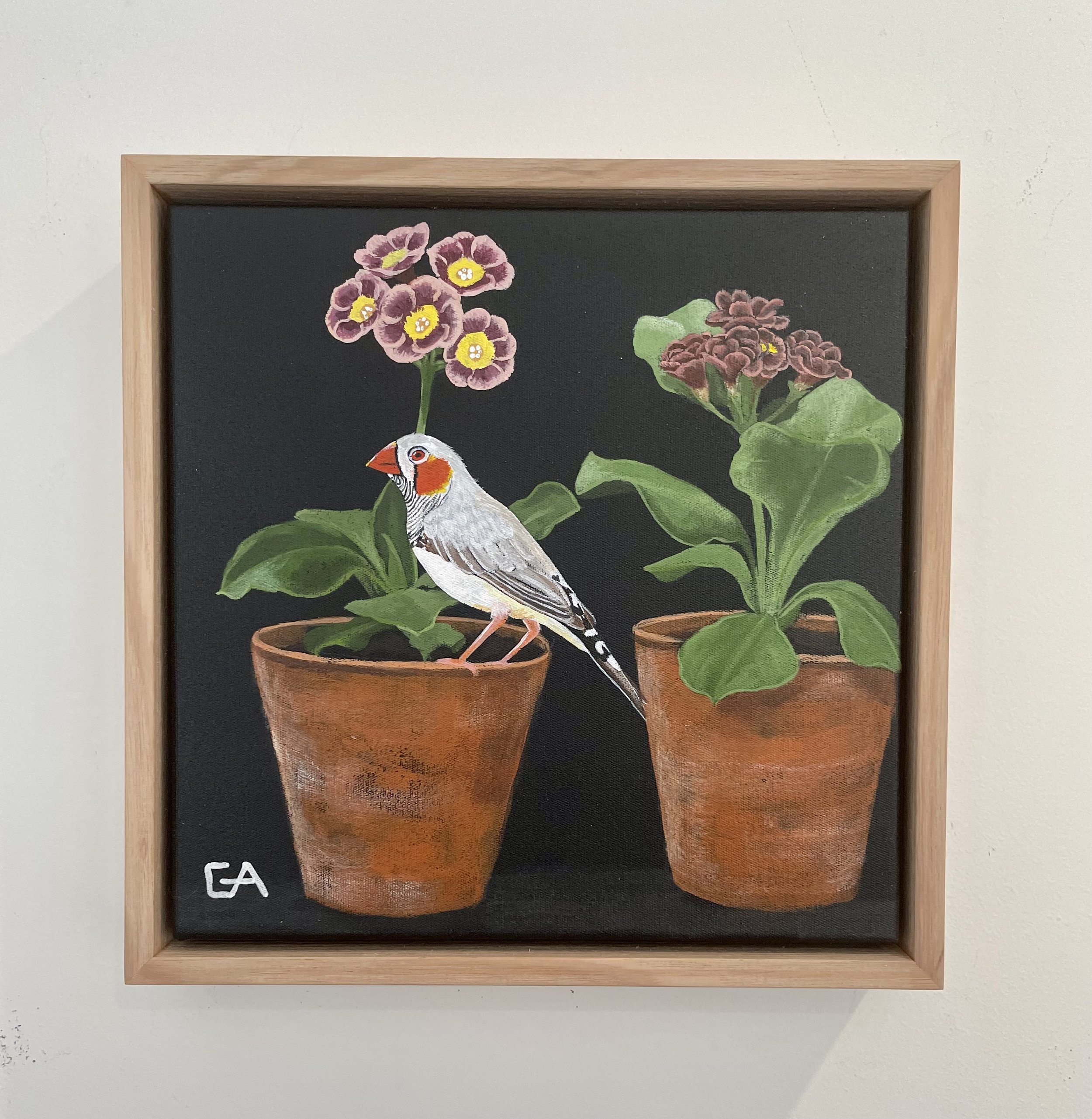 gina-andree-art-Auricula-and-finch-2.jpeg