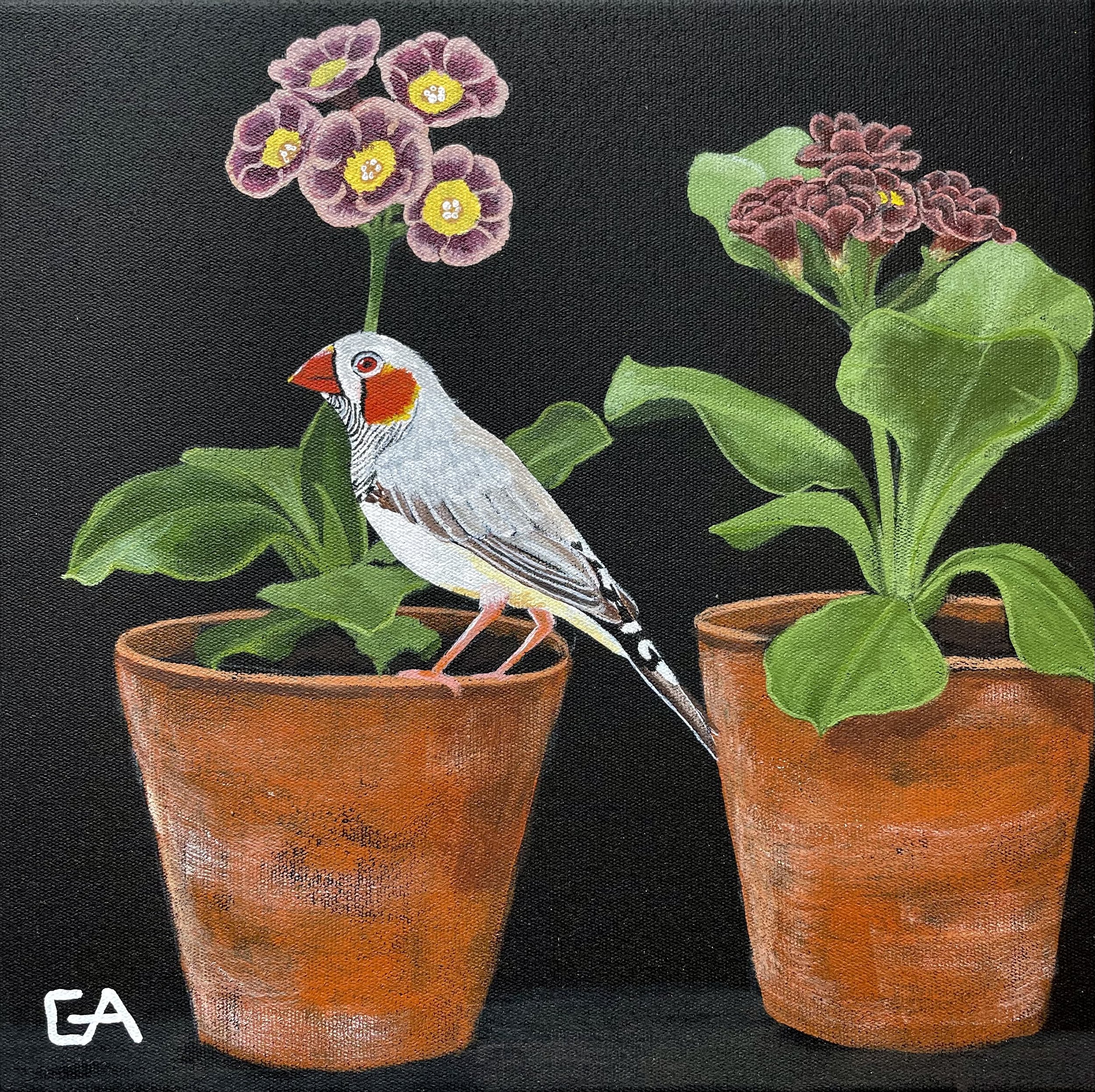 gina-andree-art-Auricula-and-finch-1.jpeg