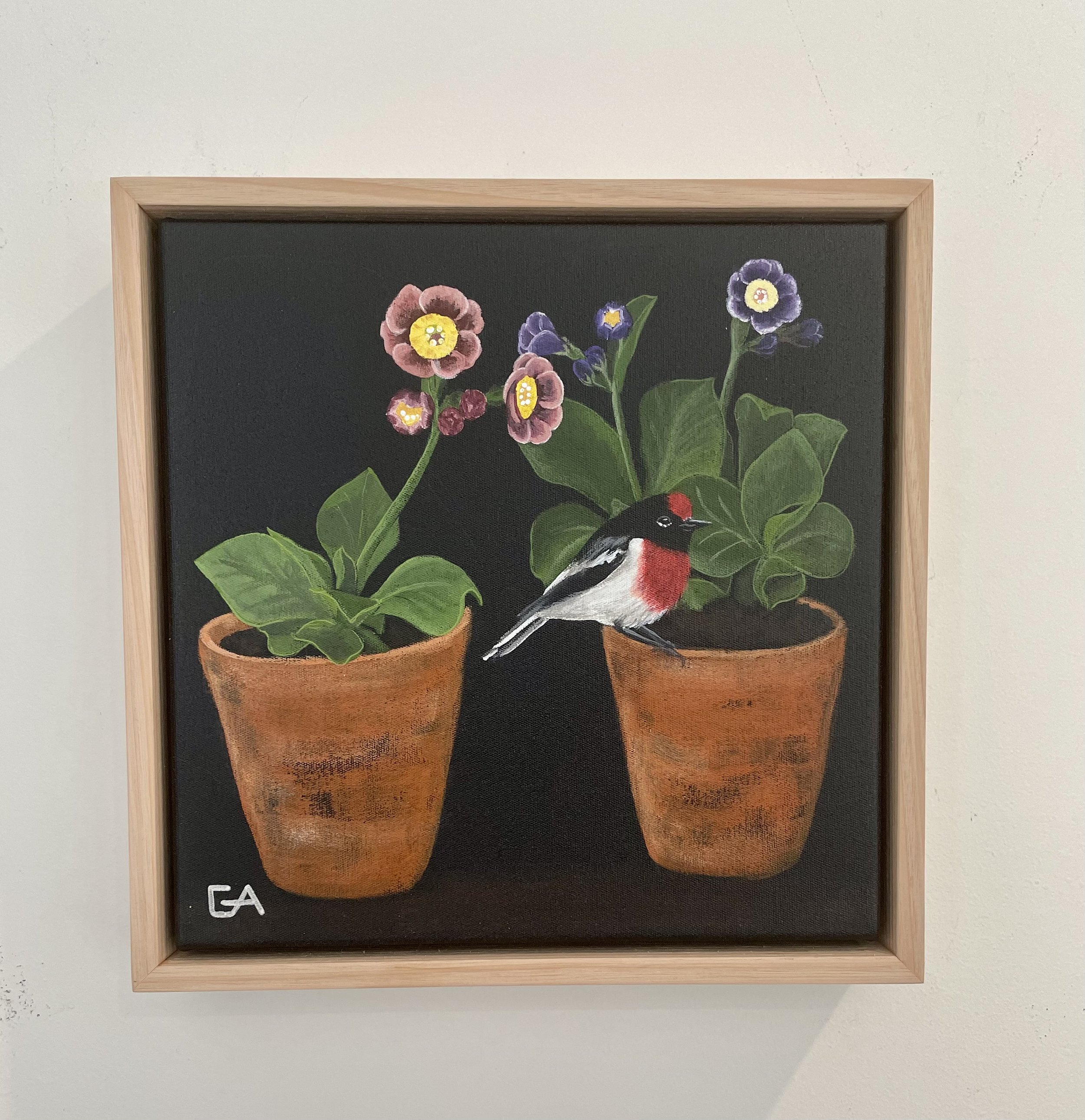 gina-andree-art-Auricula-and-robin-2.jpeg