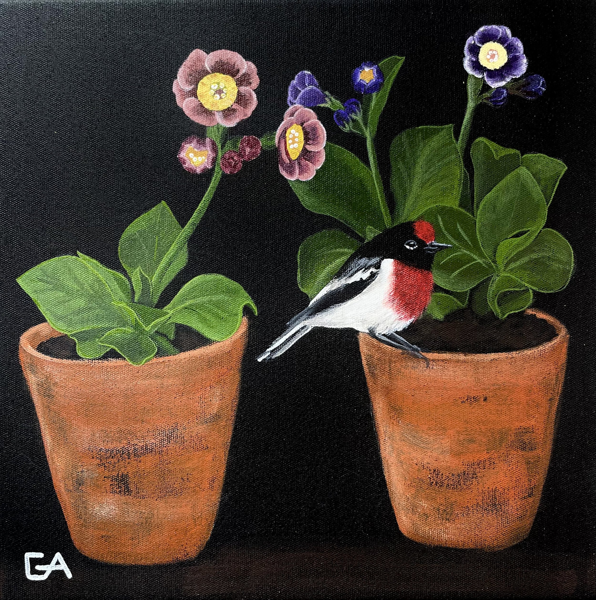 gina-andree-art-Auricula-and-robin-1.jpeg