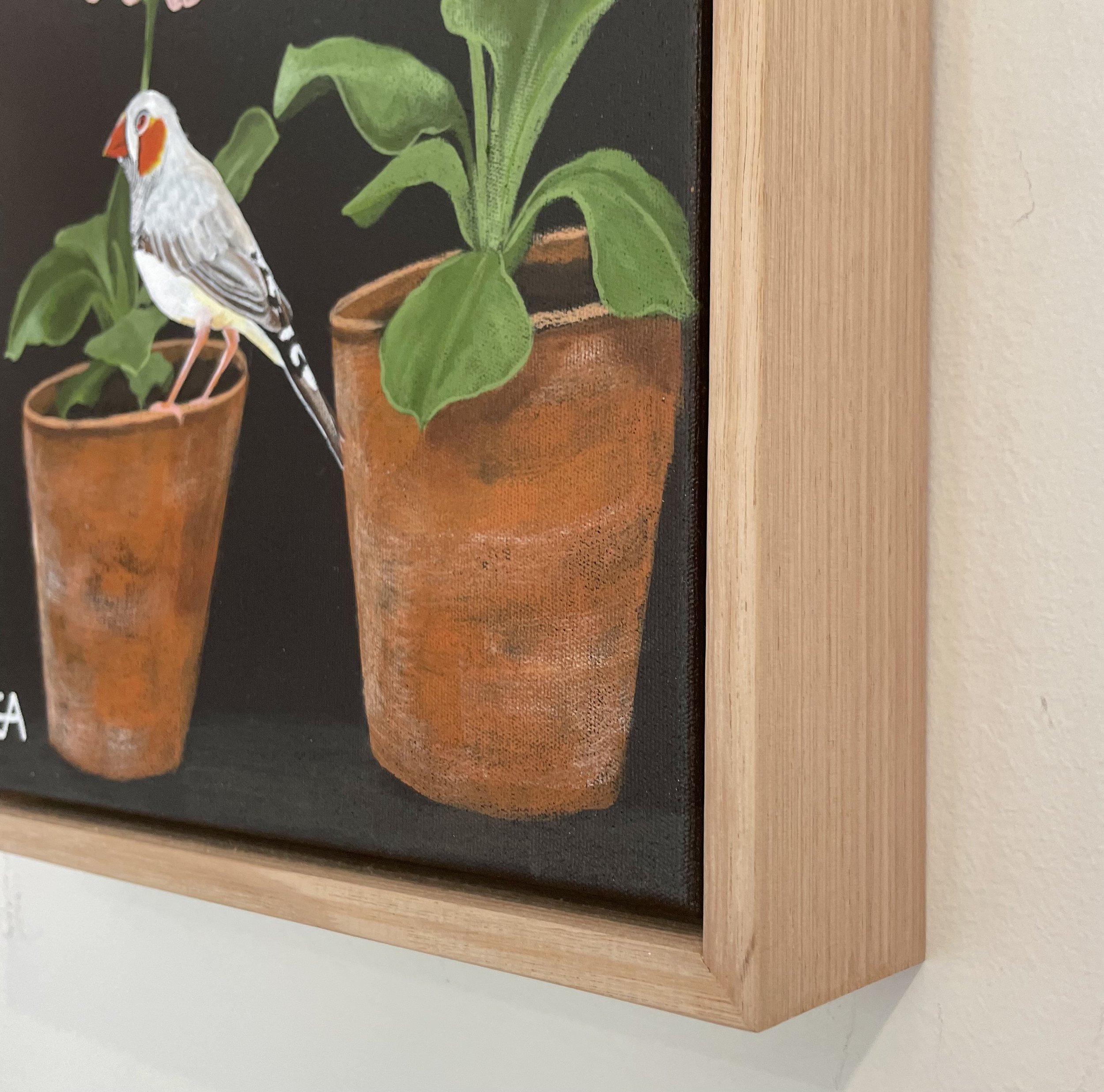 gina-andree-art-Auricula-and-finch-4.jpeg