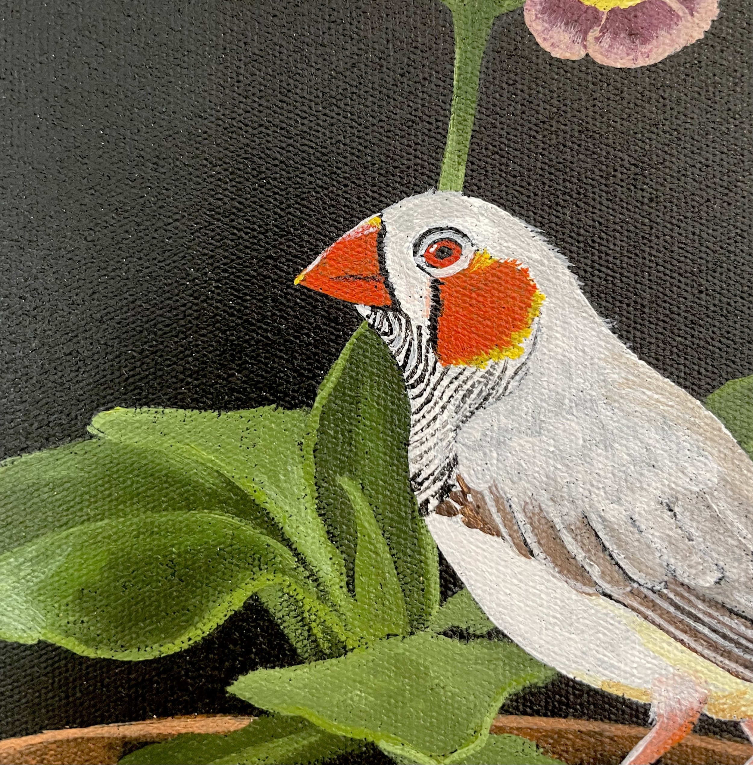 gina-andree-art-Auricula-and-finch-5.jpeg