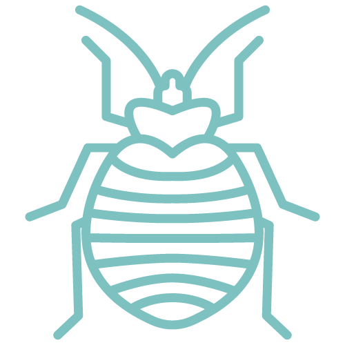 Bed-Bugs---Turquoise.png