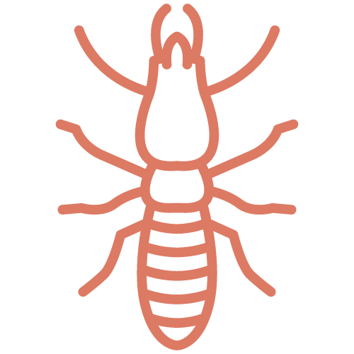 Termite---Dusty-Red.png