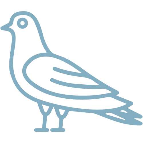 Pigeon---Soft-Blue.png