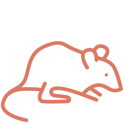 Mouse---Dusty-Red.png