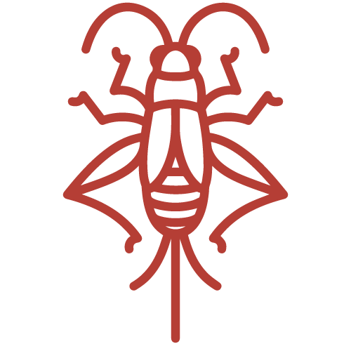 Red cricket icon