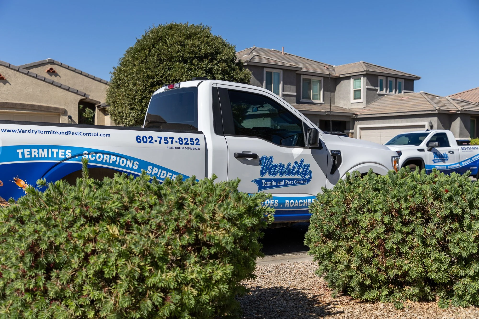 Varsity Termite and Pest Control truck parked in residential neighborhood