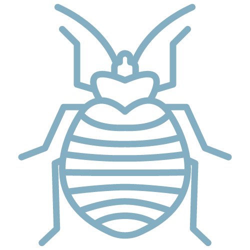 Bed-Bugs---Soft-Blue.png
