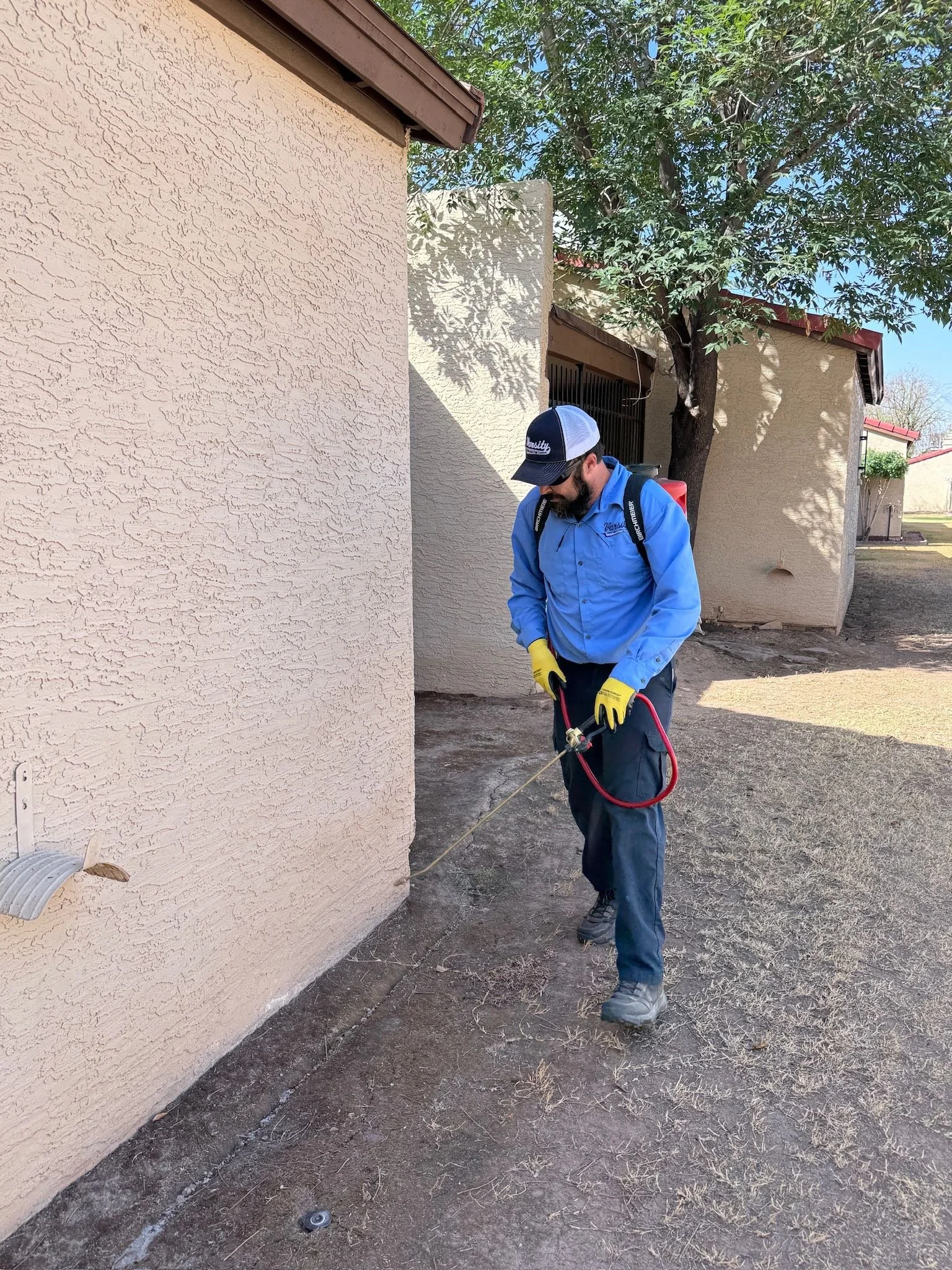 Varsity Termite technician treating home in Glendale for termites