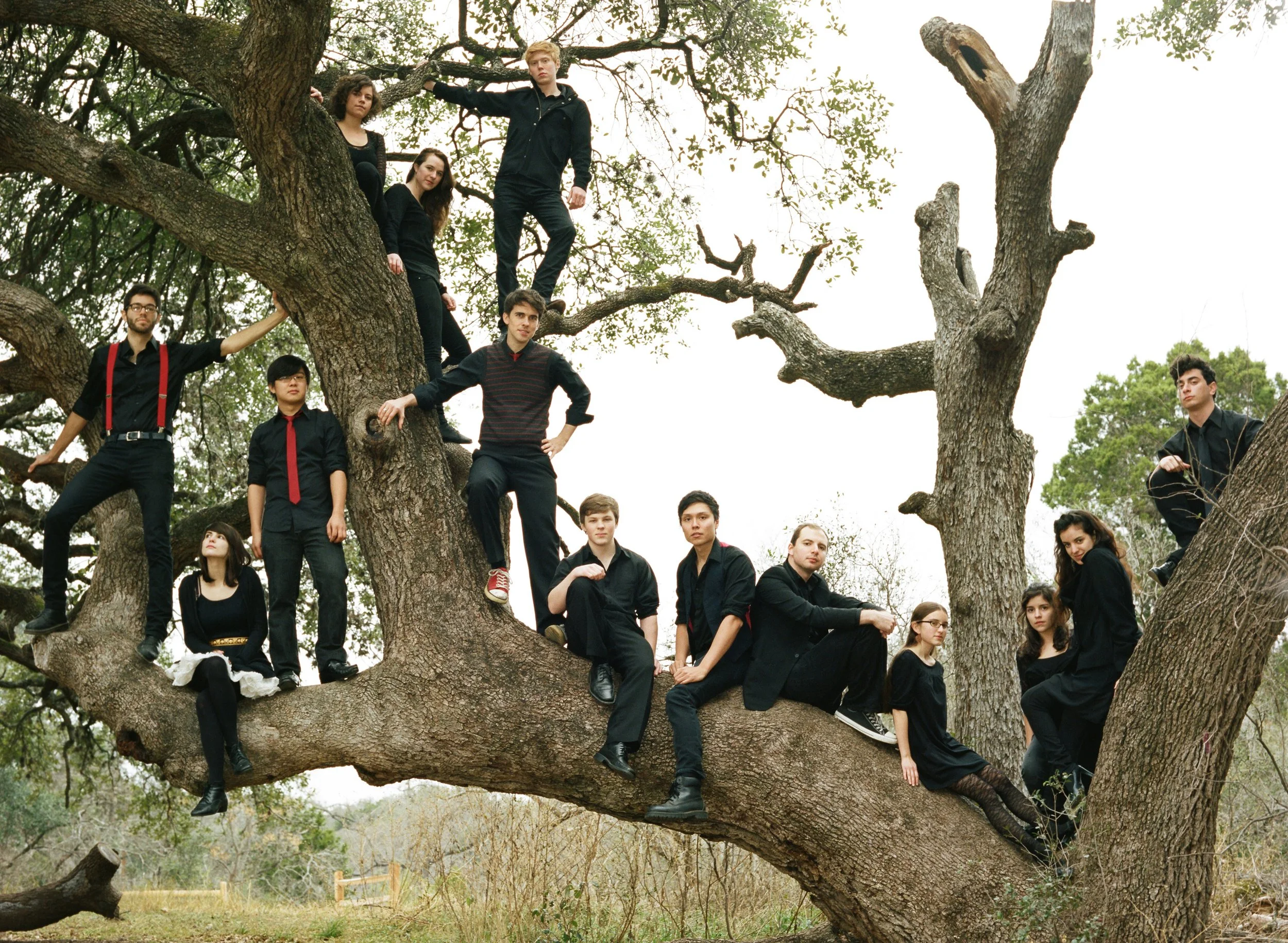 The Austin-based symphonic rock band Mother Falcon photographed by Bryan Rindfuss in a tree in Zilker Park for Austin Monthly Magazine.