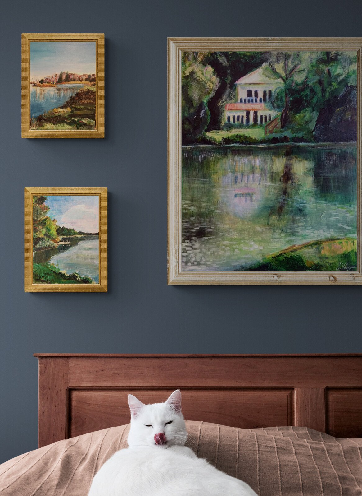 cute-white-cat-lying-on-bed.jpg