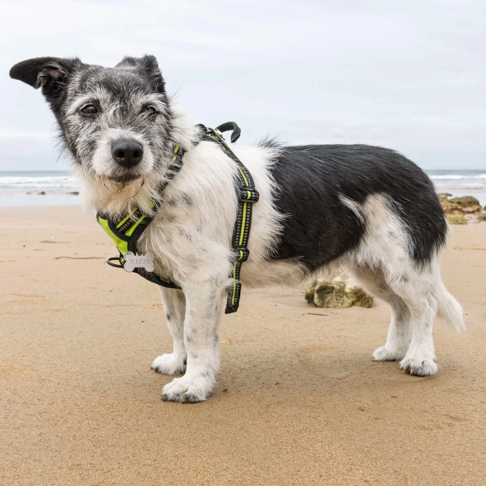 Missy-16.jpg