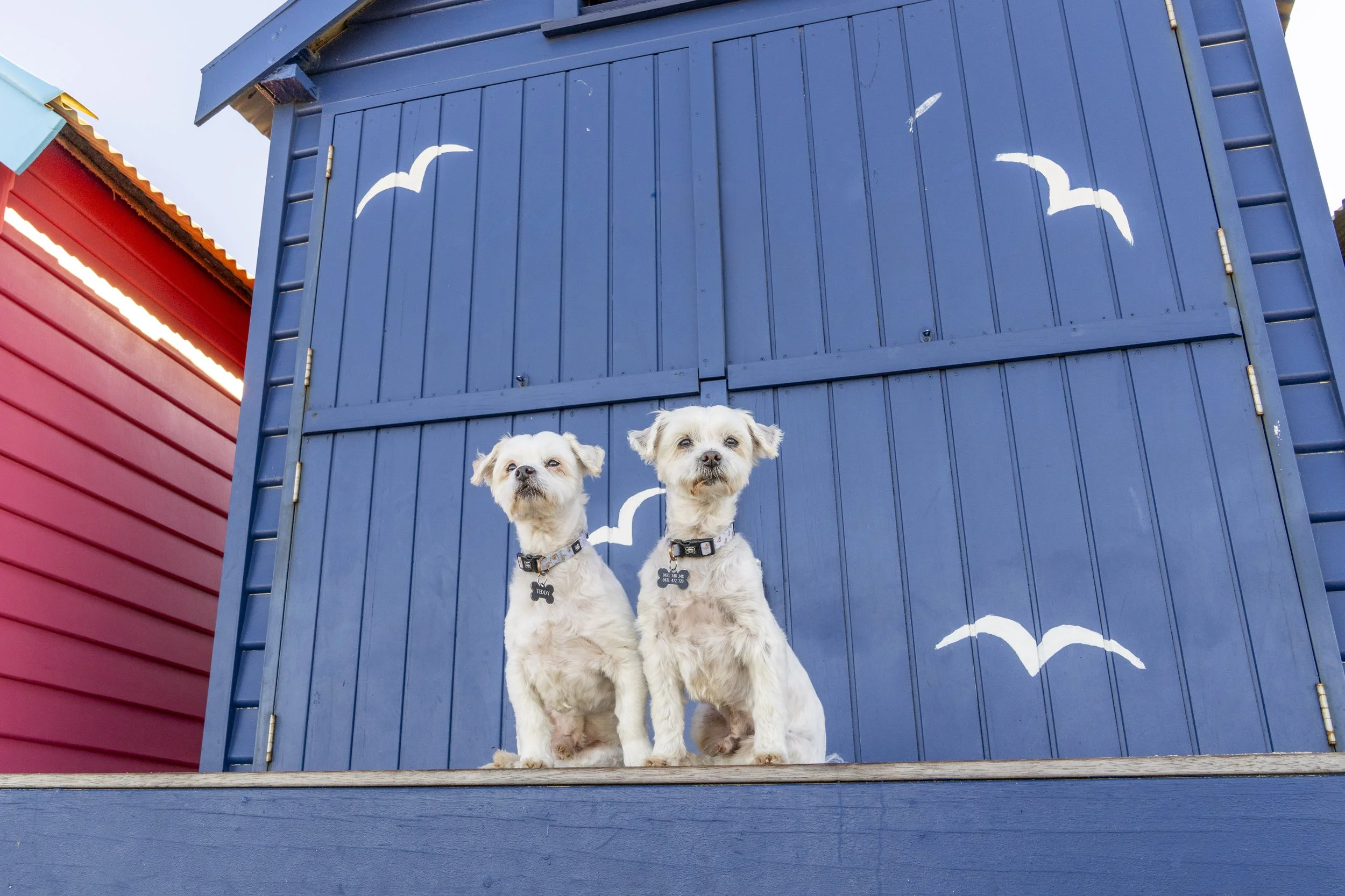 Digital Images and Printed Memories: Differences