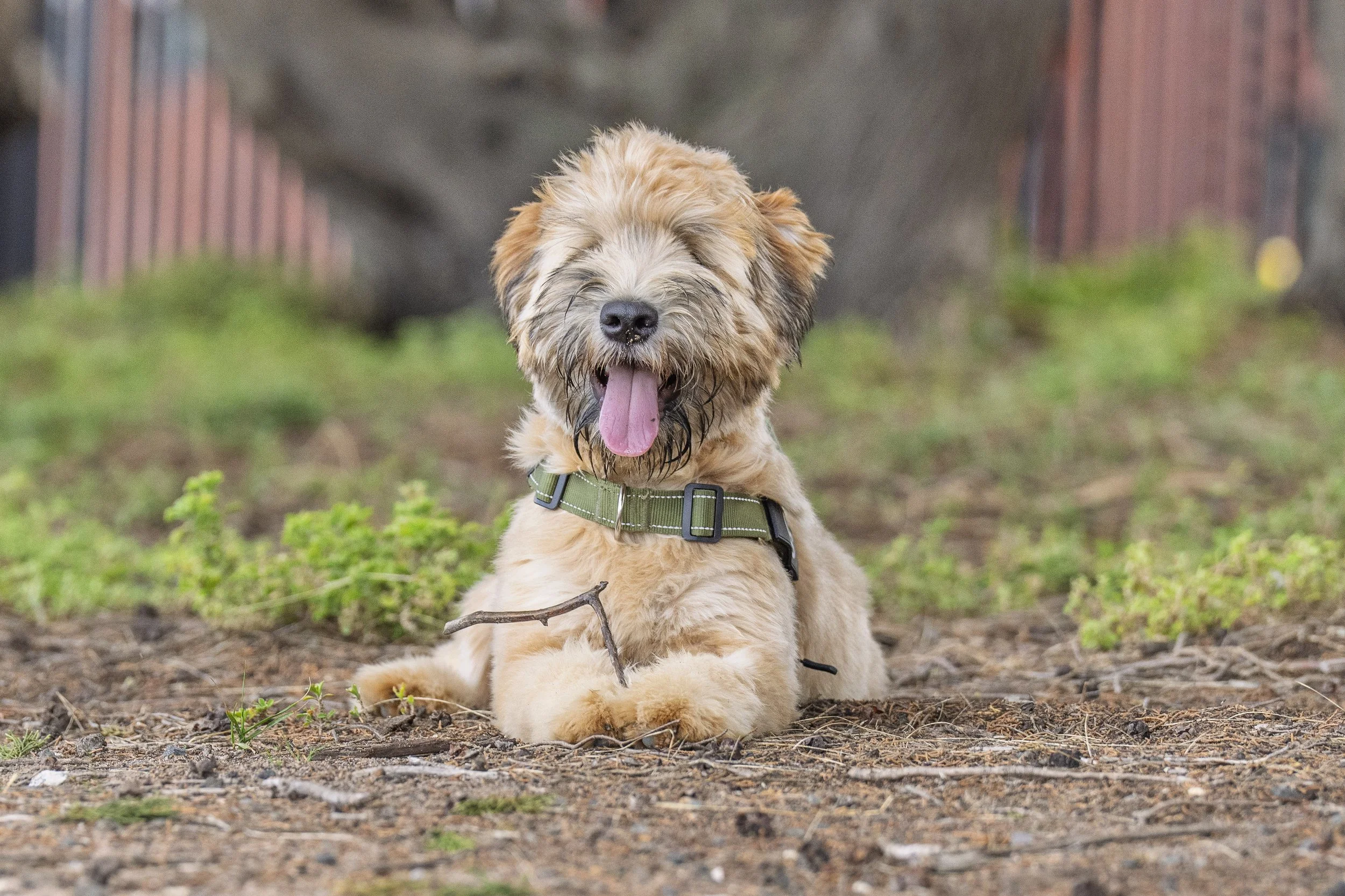 Otis-26.jpg