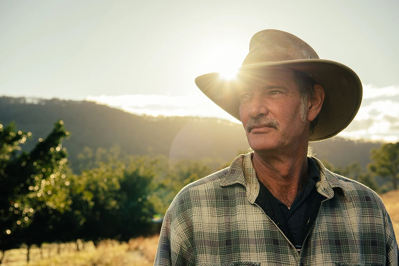 A man with a mustache wearing a wide-brimmed hat and a plaid shirt stands outdoors with the sun shining behind him, overlooking a hilly landscape and trees.